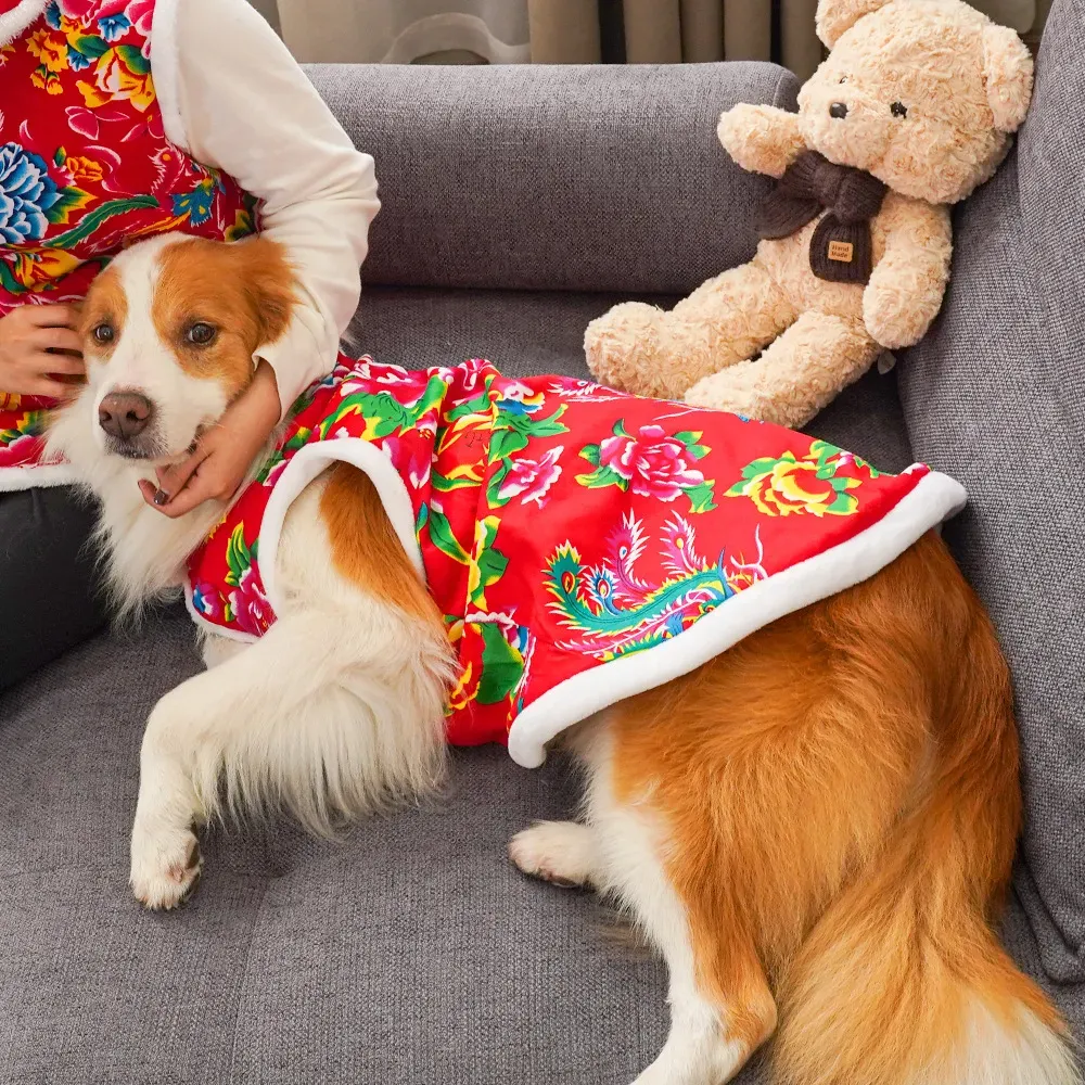 2025  winter dog clothing dog  - Winter Clothing Name review and price