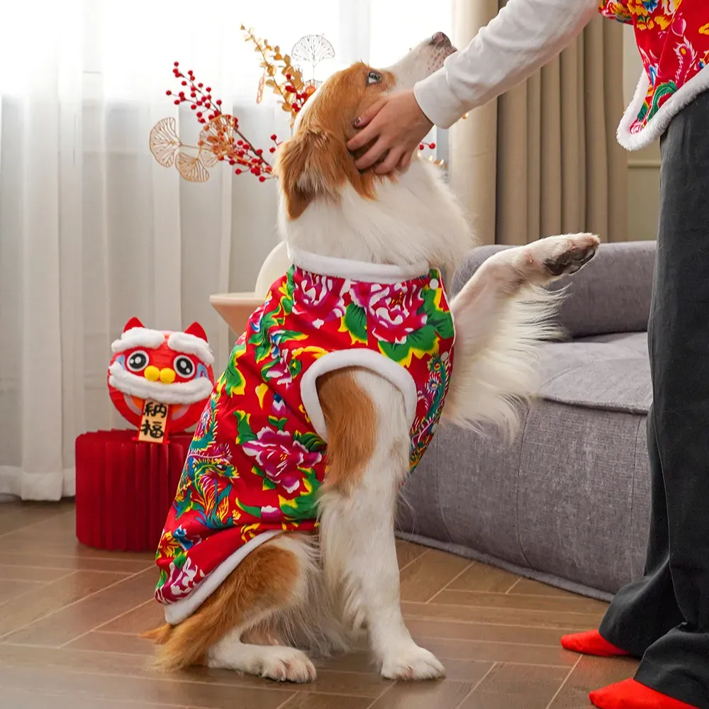 2025  winter dog clothing dog  - Winter Clothing Name review and price